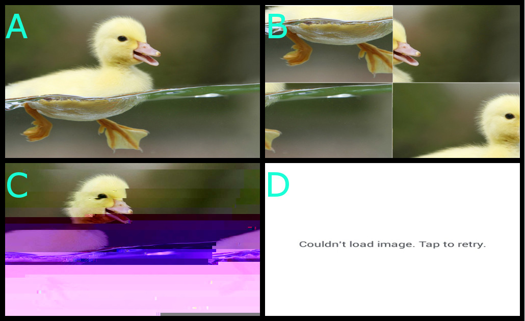 ../_images/duckpacket.jpg