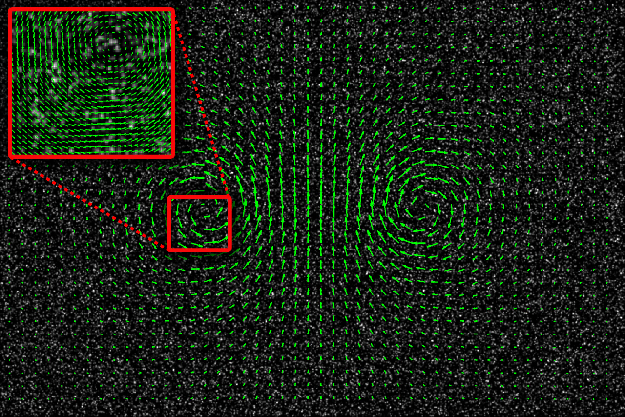 Green vectors representing the velocity vectors of a flowing fluid. The vectors along the vertical axis of syymmetry are directed from bottom to top and are longest in the middle. Vectors on either side of the vertical axis of symmetry form circular rotation patterns, clockwise on the right and counterclockwise on the left. In the upper left corner, there is an inset figure that enlarges the center of rotation on the left side of the image.