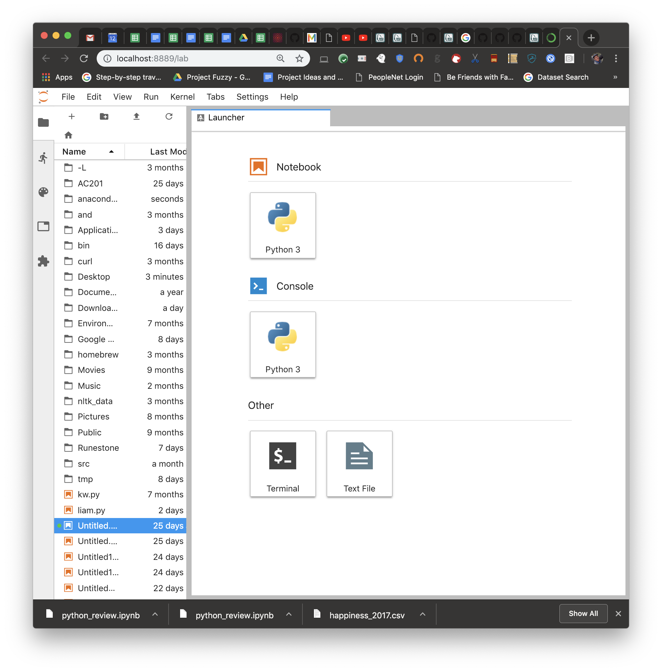 JupyterLab Launcher Tab opened in Google Chrome web browser with Notebook, Console and Other sections.
