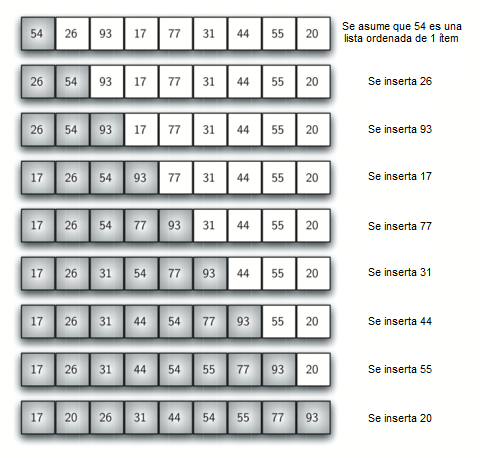 ../_images/insertionsort.png